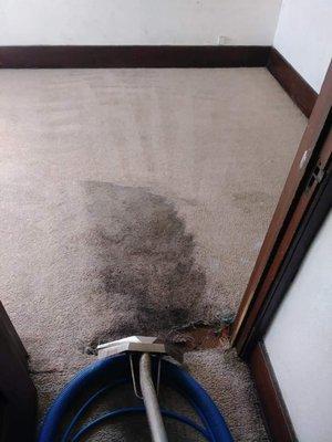 Steam carpet cleaning