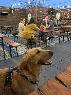 Dog friendly in the beer garden in back.