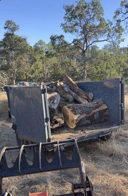 Loading up wood with our Mini Skid Loader