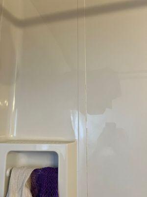 deep clean of the shower walls