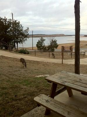 Patio View