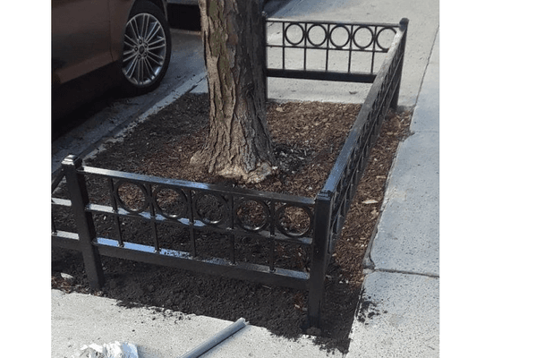 Tree Guards NYC approved Repaired and Installed