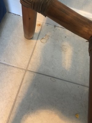 Spill under a table in living room. Found on arrival.