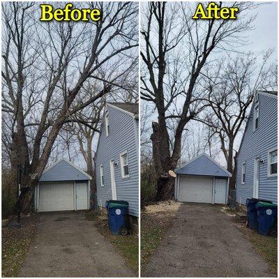 Satisfied Customer.

Removed huge branch touched the roof.Now he can sleep with out noise