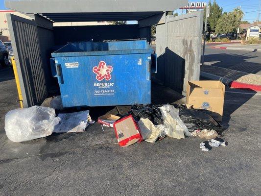 This is the trash bin that sits in front of the store, Capriotti's and a sushi restaurant and it's disgusting