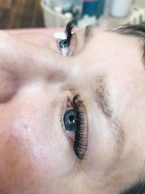 Volume set of lashes