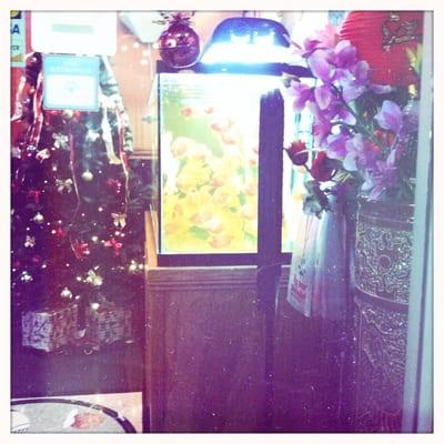 Entry fish tank