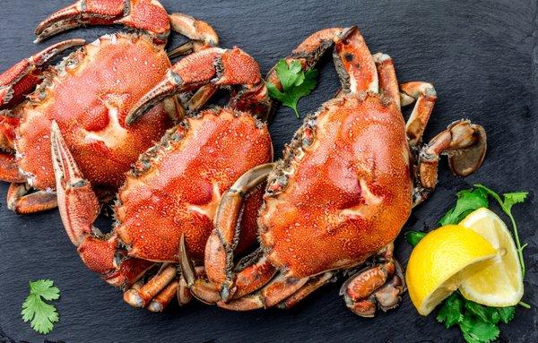 Dungeness Crab