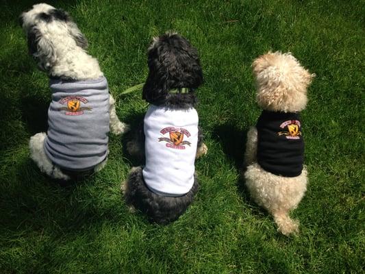 Our 'canine crew'.  We love dogs and want your dogs, in addition to you & your family, to have a tick-free yard to play in.