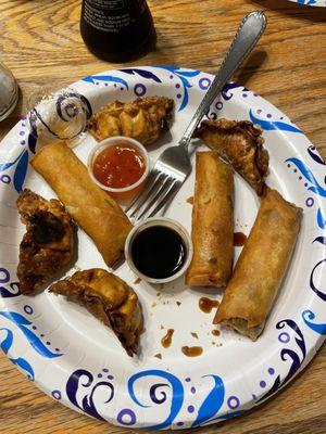 Gyoza and spring rolls