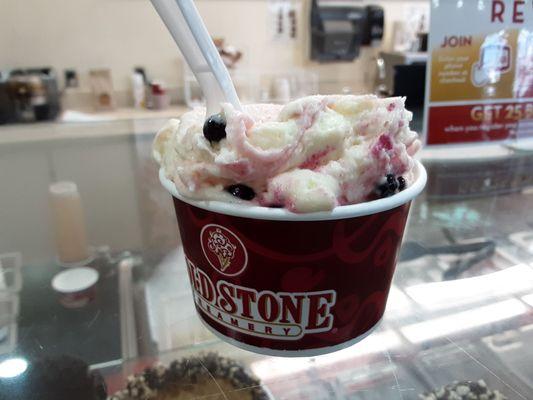 Blueberries on White Ice Cream