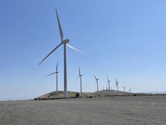 Just a few of the wind turbines.