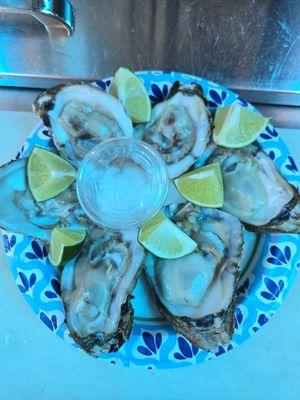 Ostiones/ Oyster