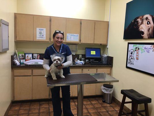 One of the state-of-the-art exam rooms at VCA Santa Anita Animal Hospital