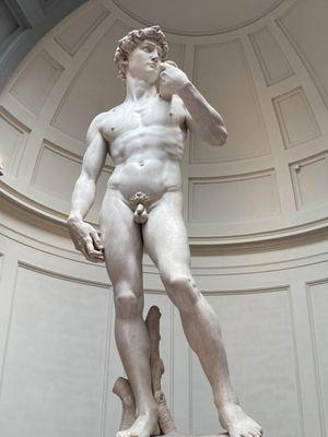 Michaelangelo's David at the Accademia Museum.