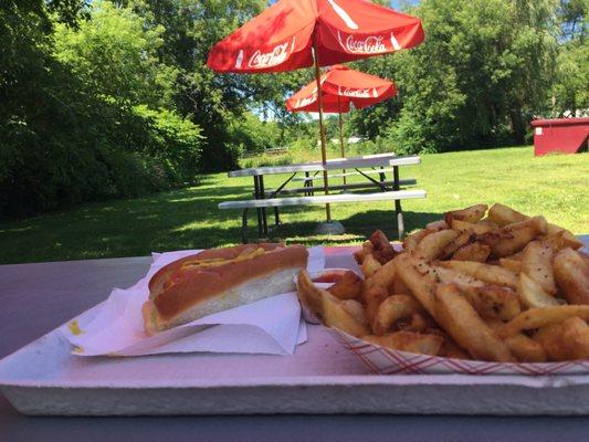 Hand cut fries and picnic tables