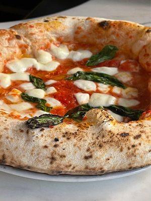 Margherita