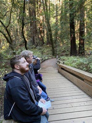 Muir Woods