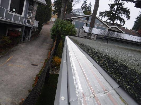 MasterShield Gutters installed on our roof in Kirkland WA