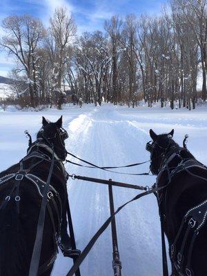 On the trail