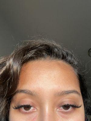 Sexy wispy 14/16 hybrid- 3 week lash refill