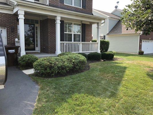 Redefined bed edging and pruning (bush trimming).