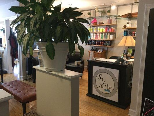 Reception desk upon entering Salon 10