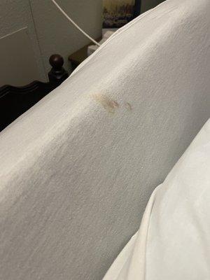 Stain on top of bed next to hair.