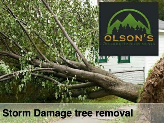 Storm Damage Tree Removal