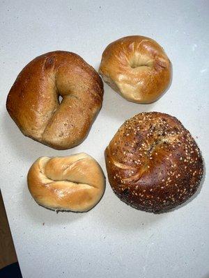 Hand Rolled Bagels