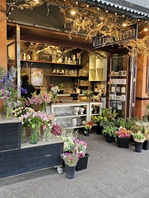 Beautiful flower shop