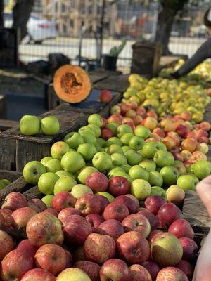 Fall apples