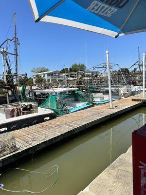 Shrimp Boats