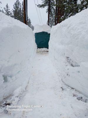 Path to the bear bin