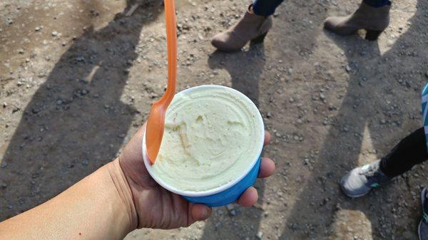 Pistachio - good, but wish there were more pistachio bits. Ice cream is creamy.