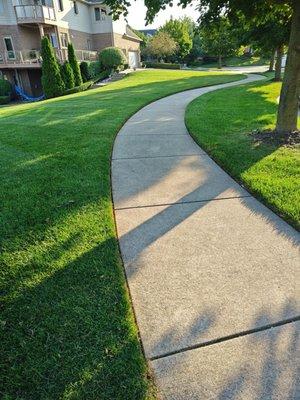 Freshly trimmed sidewalk