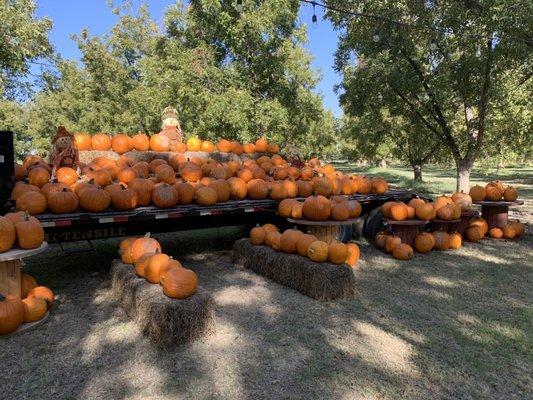 Ramirez Pecan Farms