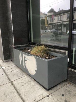 Unkempt empty planters