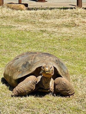 Oklahoma City Zoo