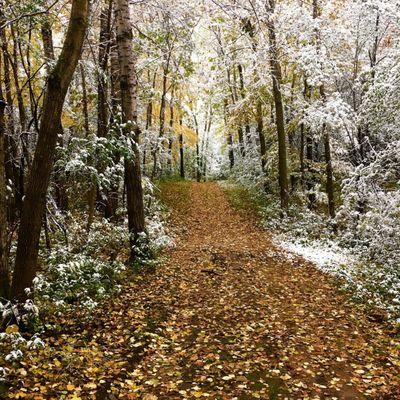 First snowfall of the season...in the fall.