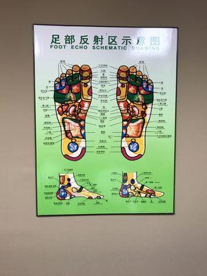 Reflexology