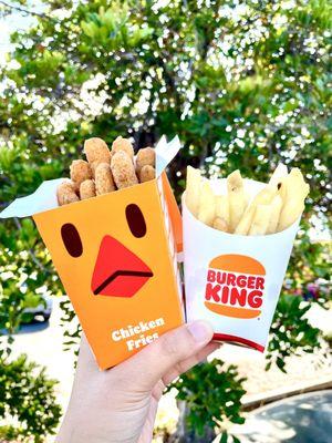 9PC Chicken Fries and small French Fries