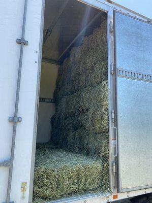 First cutting hay