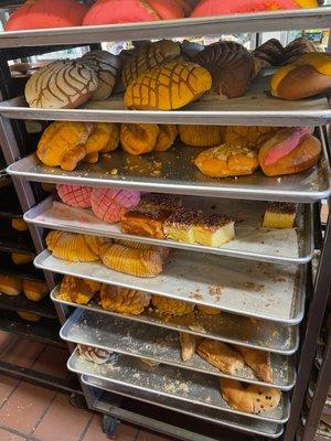 More pan dulce