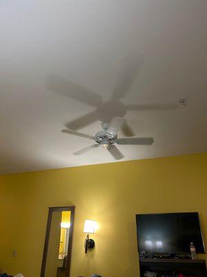 Ceiling fan.