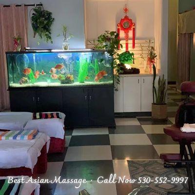 Welcome To Best Asian Massage