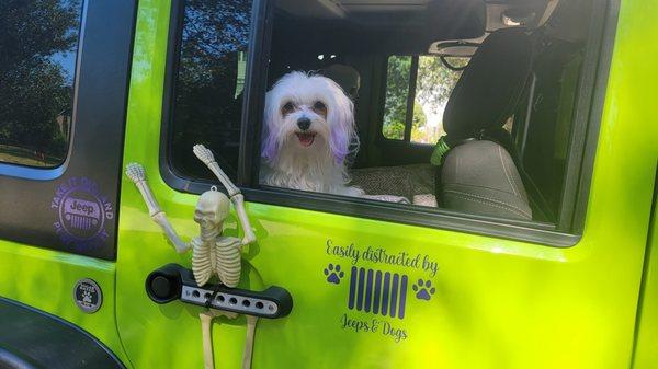 My Jeep Girl!!