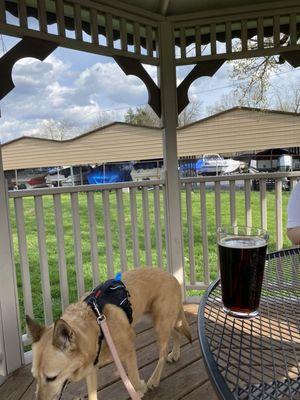 Bock beer in the gazebo in their backyard patio area.