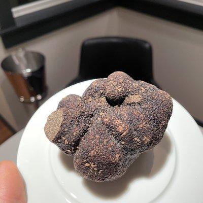 Périgord black truffle shaved tableside on the Black Truffle Risotto.