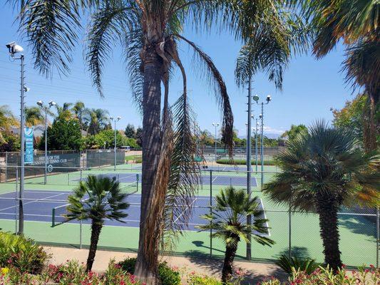 Pickleball/tennis courts